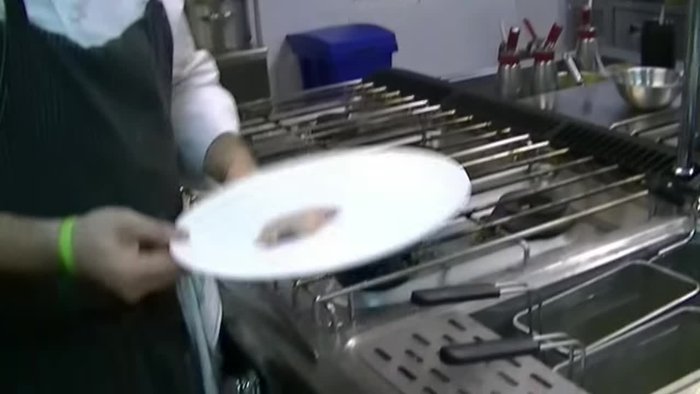 Scottate i petti di piccione in padella. Aggiungete rosmarino e un po' di olio.