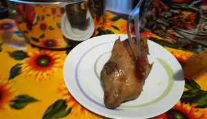 Ricetta Arrosto di Germano Reale: un piatto semplice e gustoso