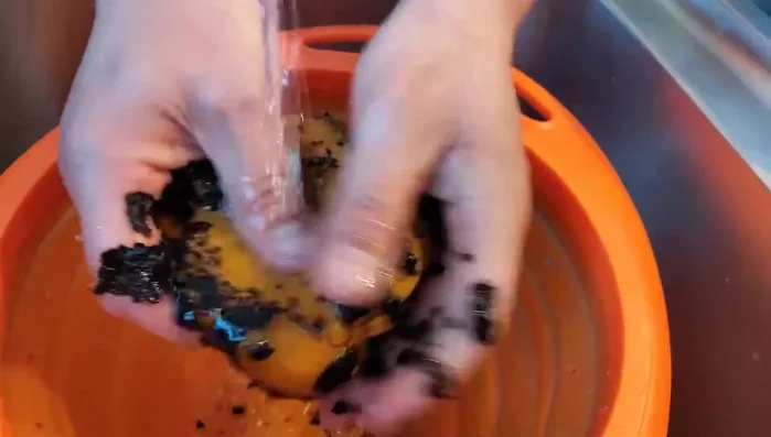 Preparare la maionese di peperoni: una volta raffreddati, pulire i peperoni e frullarli con olio, sale e pepe per ottenere una crema.