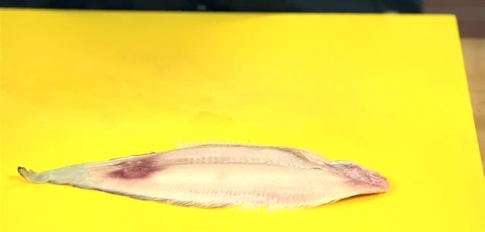 Spellare le sogliole. Fare una leggera incisione alla base e sollevare la pelle come una carta, tirandola delicatamente per evitare strappi. Ripetere dall'altro lato.