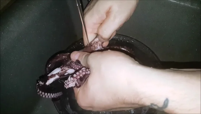 Togliere la pelle dai tentacoli del polpo.