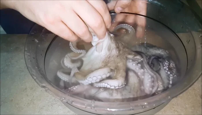 Portare a ebollizione dell'acqua in una pentola, aggiungere un goccio di vino bianco e un pizzico di sale.