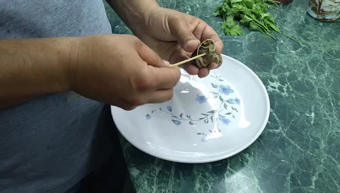 Utilizzando uno stecchino, estrarre delicatamente le lumache dai gusci. Rimuovere l'intestino e conservare solo il piede della lumaca.