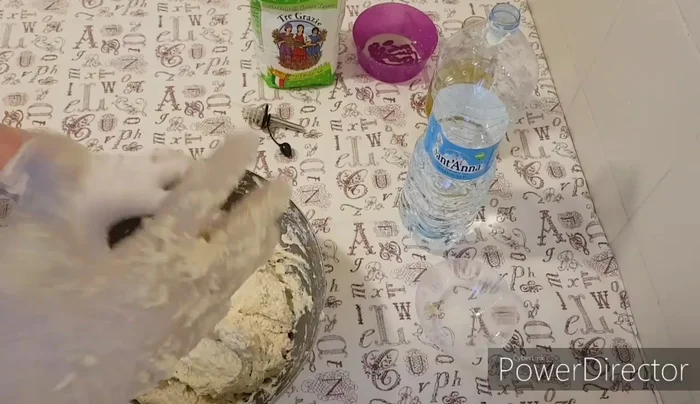 Copri l'impasto e lascialo lievitare per 3 ore e mezza.
