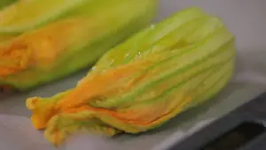 Fiori di Zucca Ripieni al Forno: Ricetta facile e gustosa