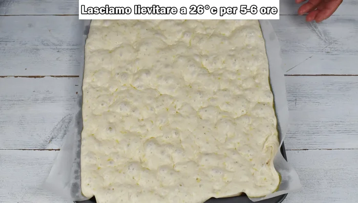 Lasciare lievitare per circa 5 ore a 26°C nel forno con la luce accesa.