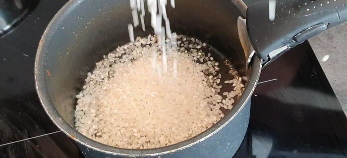 Tostare il riso in un pentolino con un goccio d'olio. (393.919)