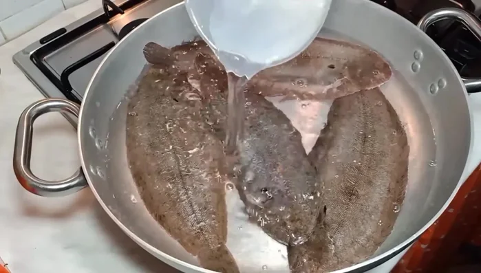 Coprire le sogliole con acqua e aggiungere altro sale. Portare ad ebollizione.