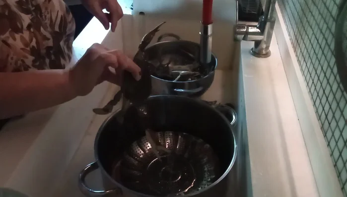 Posizionare i granchi nel cestello a vapore con la pancia rivolta verso l'alto (235.62). Questo aiuta a mantenere intatti i succhi e gli aromi (240.12)