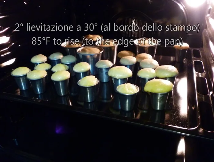 Cuocere in forno a 160°C fino a doratura della superficie.