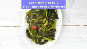 Cime di Rapa Stufate: Ricetta facile e veloce della cucina italiana