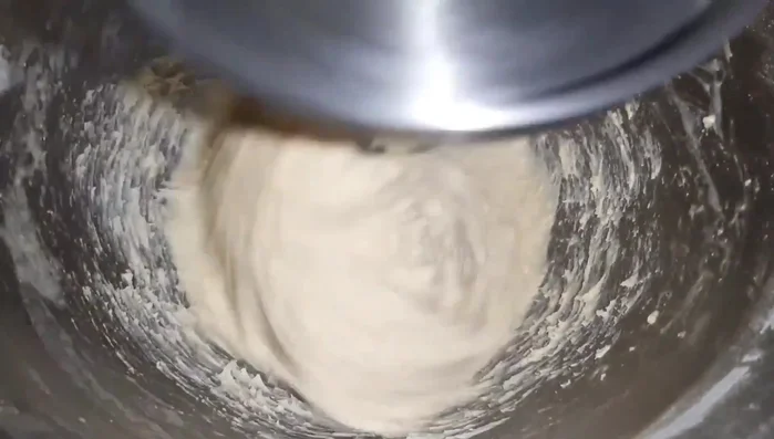 Aggiungere il sale e lasciare impastare per circa 15-20 minuti fino ad ottenere un impasto liscio ed elastico (109.52)