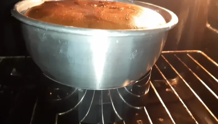 Far lievitare in forno a 30° fino all'orlo (236.159)