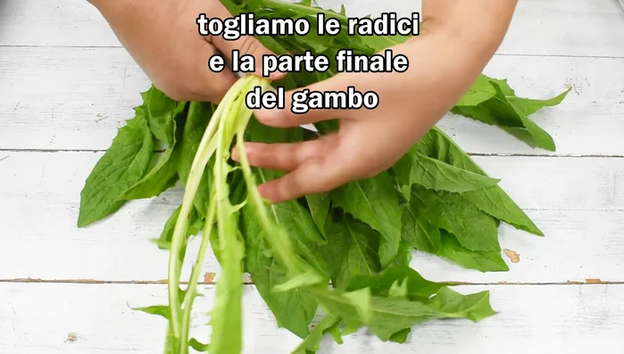 Pulire la cicoria: togliere le radici, le parti dure alla base e le foglie vecchie.