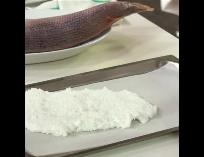 Formare la crosta: Distribuire la pasta di sale in una teglia da forno, formando uno strato di circa 2 cm di spessore. Posizionare il pesce al centro, ricoprendolo completamente con il restante impasto di sale, sigillando bene.