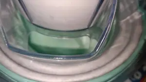 Gelato alla Menta: Ricetta facile e veloce - Estate rinfrescante!
