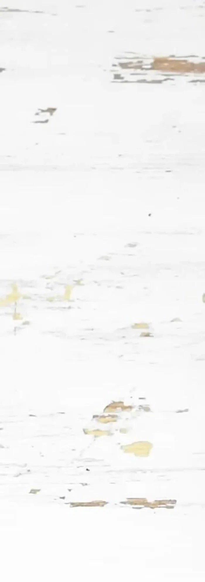 Disporre il carpaccio su un vassoio.