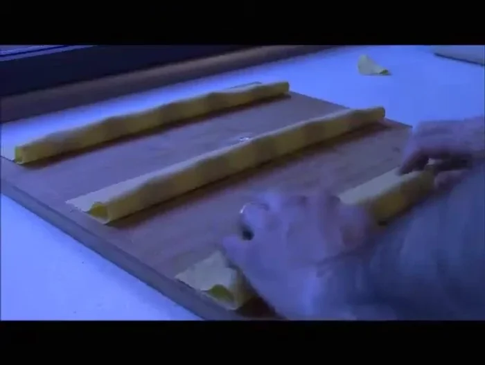 Chiudere i ravioli con cura.