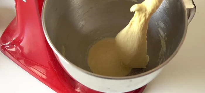 Mettere l'impasto a lievitare per 2 ore a 25-30 gradi in una ciotola unta. [190.33]