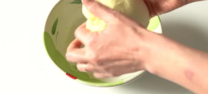 Dopo la lievitazione, rimettere l'impasto in una ciotola e lasciarlo in frigorifero per circa 4 ore. [248.12]