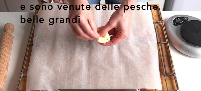 Dare forma alle pesche e metterle su una teglia. Lasciare lievitare nuovamente per circa 1 ora a temperatura ambiente. [286.01]