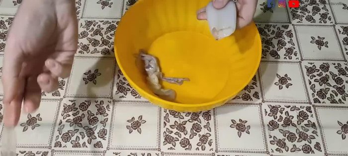 Pulire i calamari: staccare la testa, togliere le budella e la cartina trasparente interna. Rimuovere gli occhi dalla testa e il dente tra i tentacoli. (0:10.53)