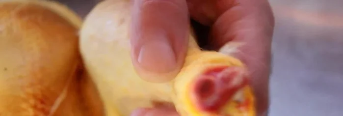 Disossare il pollo. Questa operazione richiede pazienza e forza, soprattutto se si usa un pollo ruspante (0.02). Eliminare completamente l'osso del fuso (6.839).