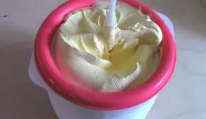 Gelato alla Vaniglia Fatto in Casa: Ricetta Facile e Veloce