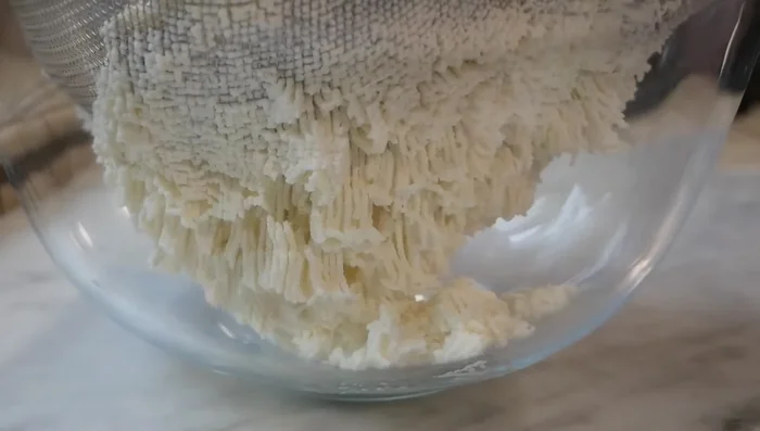 Preparare la crema di ricotta: Setacciare la ricotta e mescolarla con lo zucchero e le gocce di cioccolato. [279.33]