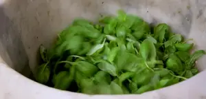 Pesto Genovese autentico: Ricetta dello Chef Panizza
