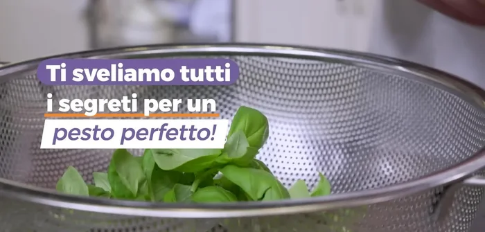 Staccare le foglie di basilico e lavarle accuratamente sotto acqua fredda corrente (9.24). Usare solo le foglie, eliminando i gambi (13.62).